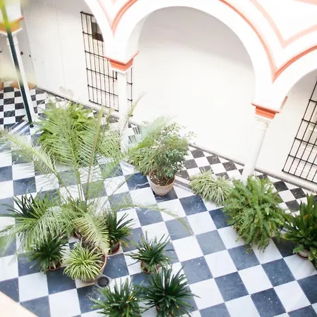 Alohamundi Alfalfa * Seville