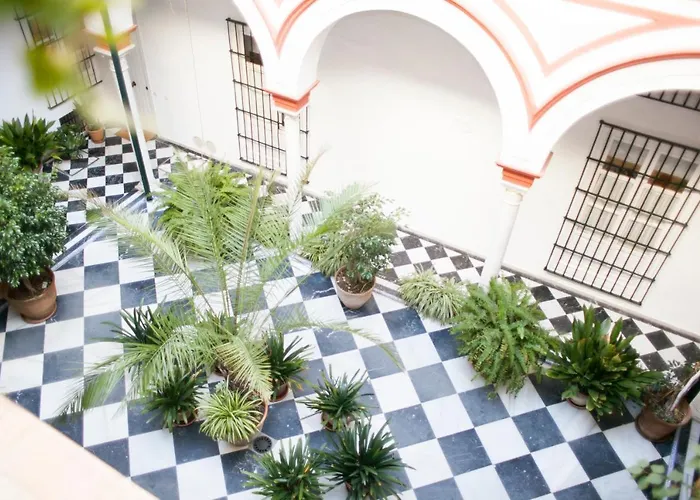 Alohamundi Alfalfa * Seville